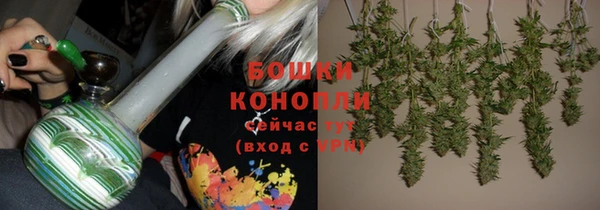 мет Инта