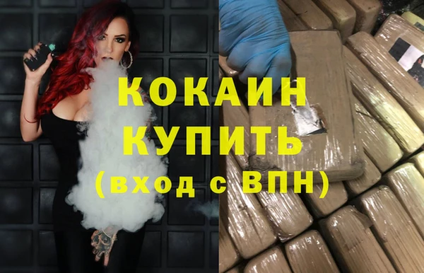 мет Инта