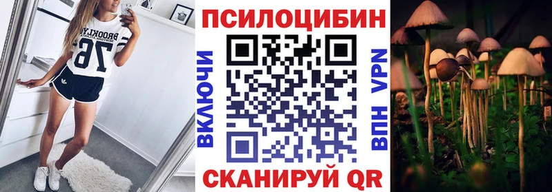 Галлюциногенные грибы Cubensis  где купить наркоту  Усолье-Сибирское 