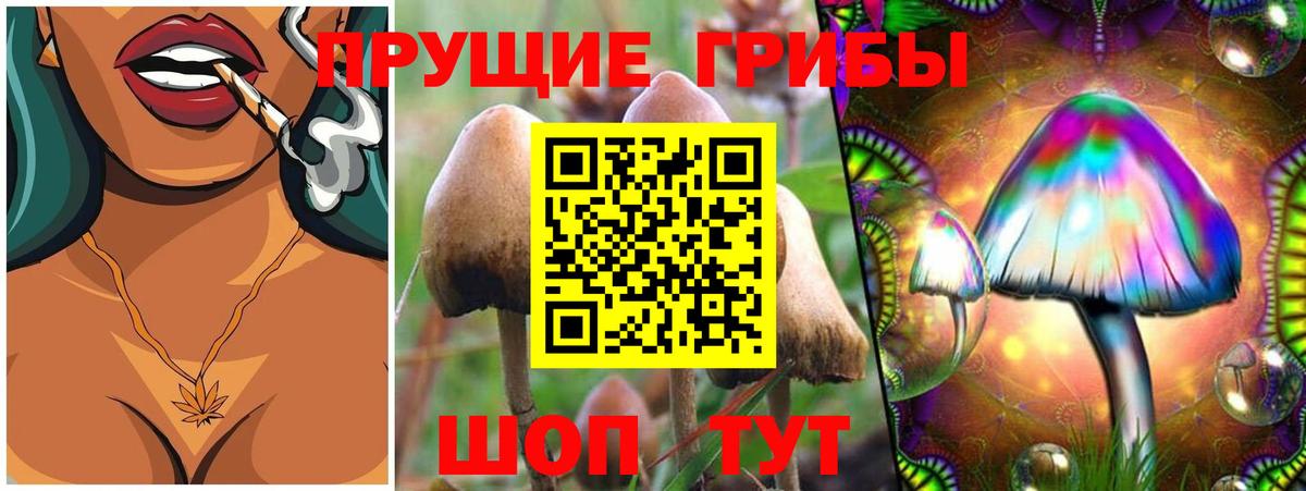 Усолье-Сибирское  Псилоцибиновые грибы MAGIC MUSHROOMS  Вход с VPN 